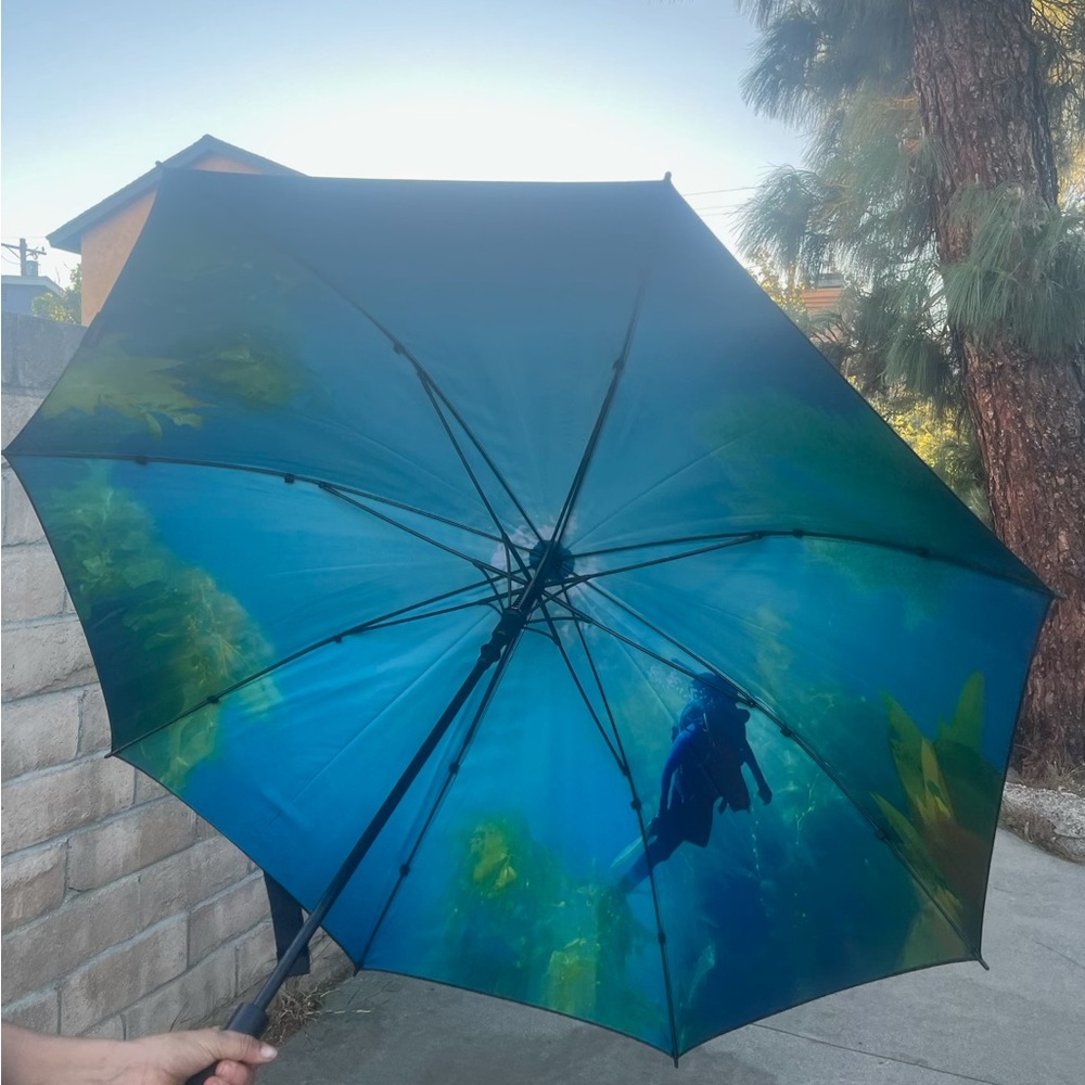 Los Raingeles Umbrellas